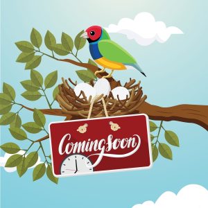 ViewSonic ViewBoard VPC25-W53-P1 Digital Signage Appliance - Image 1