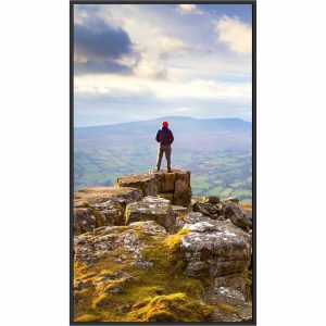 Sharp PN-E559 55" 4K UHD Professional Display - Image 1